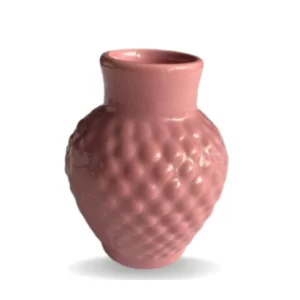 Vaso Bico de Jaca Rosa 12cm